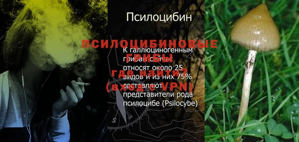 2c-b Баксан