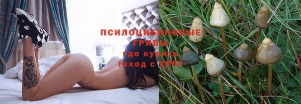 2c-b Белокуриха